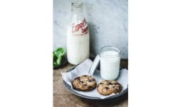 Envases para yoghurt - Distribuidora Prez