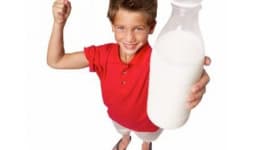 Envases para yoghurt - Distribuidora Prez