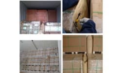 Bolsas inflables para arriostramiento en vagones de ferrocarril - Sealing International Tapes