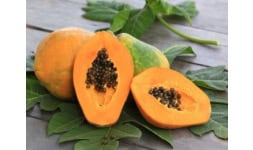 Papaya - Frutas y Hortalizas Orgánicas de Michoacán México