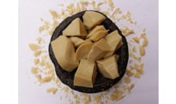 Cacao - Alerlit Cacao
