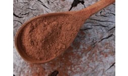 Cacao - Alerlit Cacao