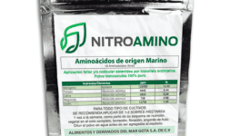Nitroamino - Global Bridge Recubrimientos Industriales