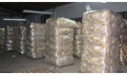 Hoja de maiz para tamales