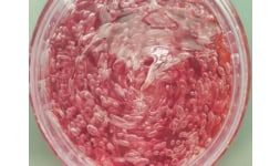 Polimero de carboxivinilo - Lubrizol de México Comercial