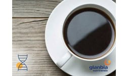 Premezclas para elaboracion de bebidas calientes - Glanbia Nutritionals
