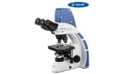 Microscopios de campo oscuro - Rivasapuntocom