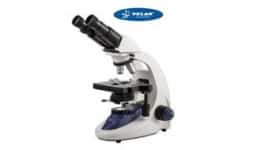 Microscopios de campo claro - Rivasapuntocom