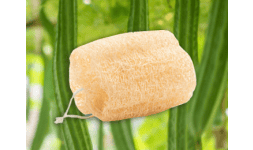 Exfoliantes naturales - EstropajinNatural