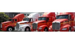 Autotransporte de carga - Transportes Armabe