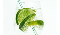 Sabores citricos - The Flavor Taste