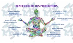 Probioticos  - Biodesarrollos Valmex