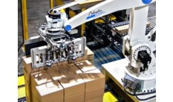 Paletizadoras roboticas - Conveyors and Automation Systems