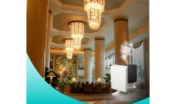 Aromas para hoteles - Grupo Calque