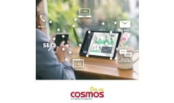 Asesoria en marketing - Cosmos Online