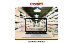 Desarrollo de tienda en linea para paginas web industriales