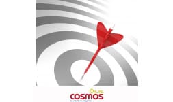 Pagina web gestionable - Cosmos Online