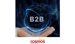 Portal b2b mexico - Cosmos Online