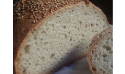 Almidon de trigo - Gluten y Almidones Industriales