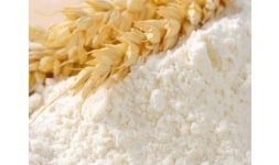 Almidon de trigo - Gluten y Almidones Industriales