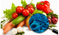 Analisis microbiano de agua para alimentos y bebidas 
