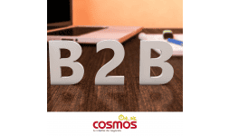 Asesoria en mercadotecnia para empresas B2B en Mexico 