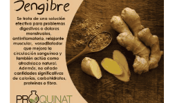 Herbolaria mexicana - Productos Químicos y Naturistas PROQUINAT