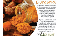 Herbolaria mexicana - Productos Químicos y Naturistas PROQUINAT
