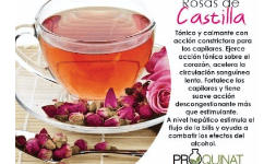 Herbolaria mexicana - Productos Químicos y Naturistas PROQUINAT