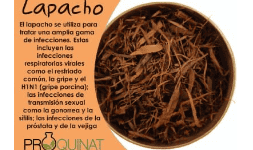 Herbolaria mexicana - Productos Químicos y Naturistas PROQUINAT