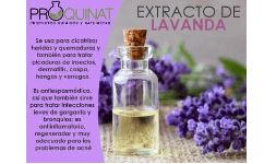 Productos quimicos concentrados para cosmeticos - Productos Químicos y Naturistas PROQUINAT