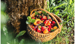 Aromas frutales - Diseños Aromáticos