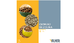 Cloruro de colina 60% - Empresas Vilher