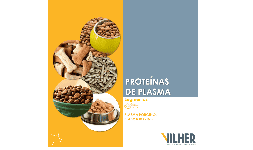 Proteina animal - Empresas Vilher
