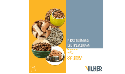 Proteinas funcionales de cerdo - Empresas Vilher