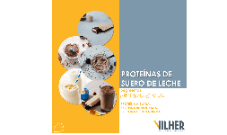Proteina de suero de leche - Empresas Vilher