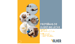 Suero de leche en polvo - Empresas Vilher