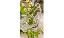 Maquila de suplementos alimenticios - Laboratorio Fermoquim