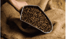 Café tostado arábica de altura Premium