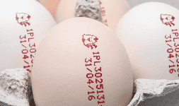 Codificador de huevos EBS 6900