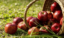 Jugo de manzana - Luafrut