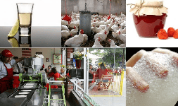 Emulsiones de silicón para la industria alimenticia