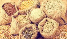 Cereales intermediarios