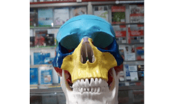 Libros de medicina de anatomia, cardiologia entre otros