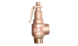 Válvulas de seguridad para vapor VAYREMEX, WALWORTH, CUEVAS, SPIRAX SARCO