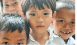 Premezcla de Vitaminas y Minerales para Fórmulas Infantiles