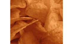 Papas Fritas Naturales con Adobo Gramaje 170 g