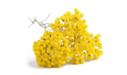 Activos Humectantes y Relajantes Para la Piel AREAUMAT PERPETUA