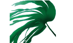 Activos Humectantes Para Pieles Jóvenes PHEOHYDRANE