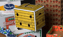 Cajas de carton para alimentos frescos 